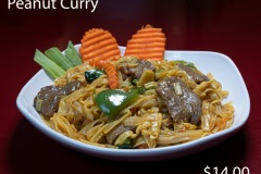 Menu item peanut curry photo