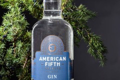 Photo bottle of gin botanicals setting