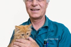 professional headshot veterinarian kitten